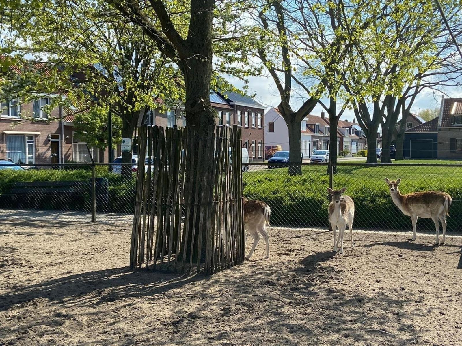 Fuer 4 Personen Ca 65 M In Stavenisse, Zeeland Tholen