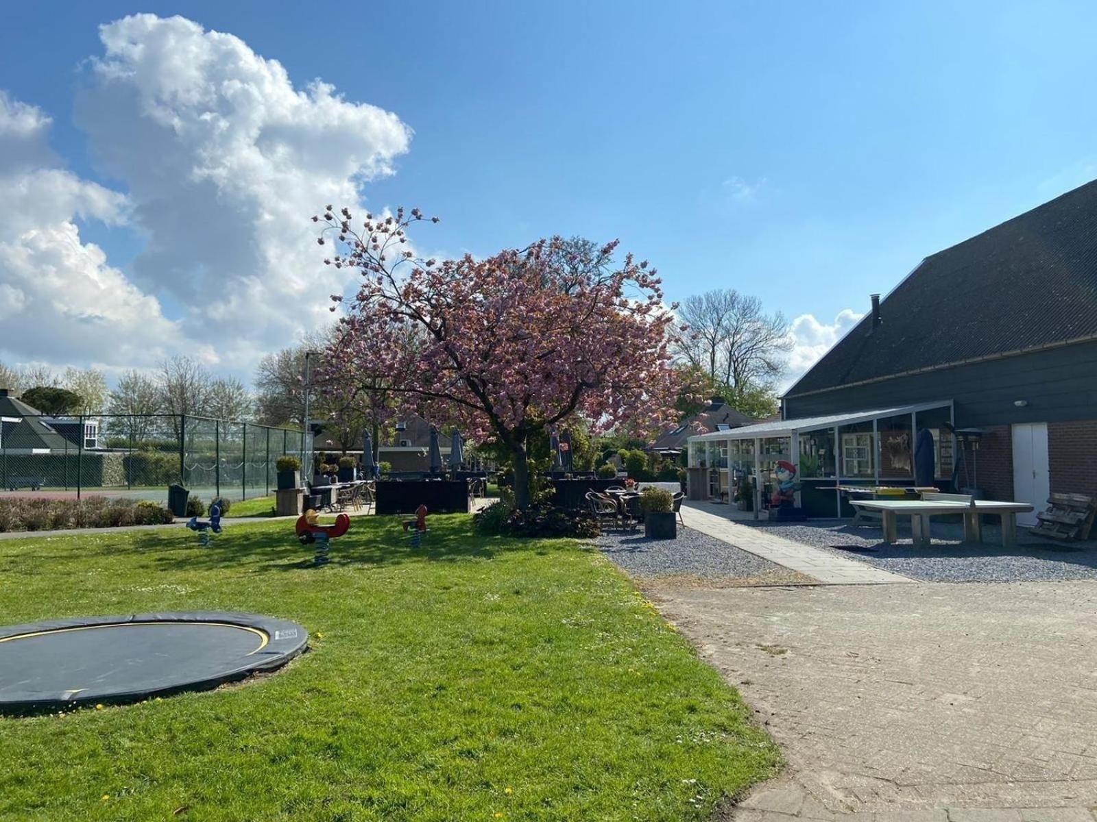 Vakantiehuis Fuer 4 Personen Ca 65 M In Stavenisse, Zeeland Tholen *